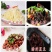 山西陈醋食用醋饺子醋吕梁香醋5斤