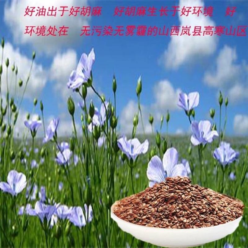 山西岚县特产纯胡麻油月子油宝宝食用油