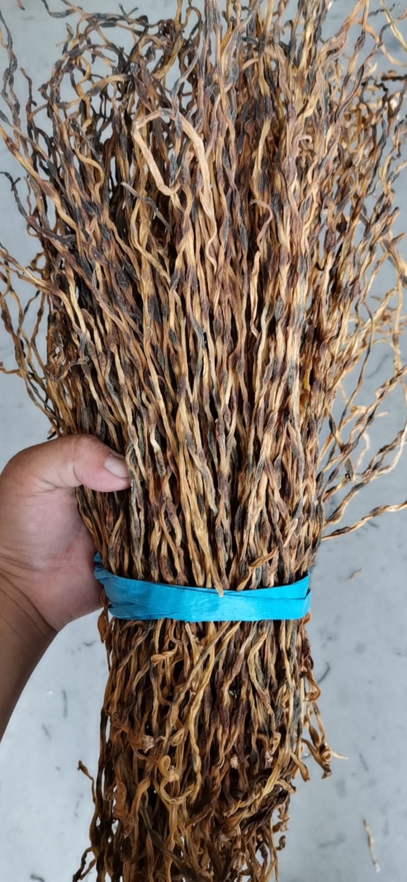 豆角豆江苏豆角切断一级
