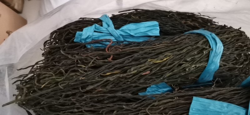 豆角豆江苏豆角切断一级
