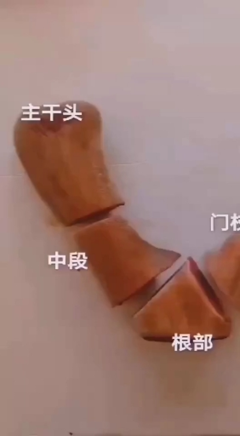 梅花鹿鲜鹿茸整只梅花鹿可以选图鲜鹿茸切连刀