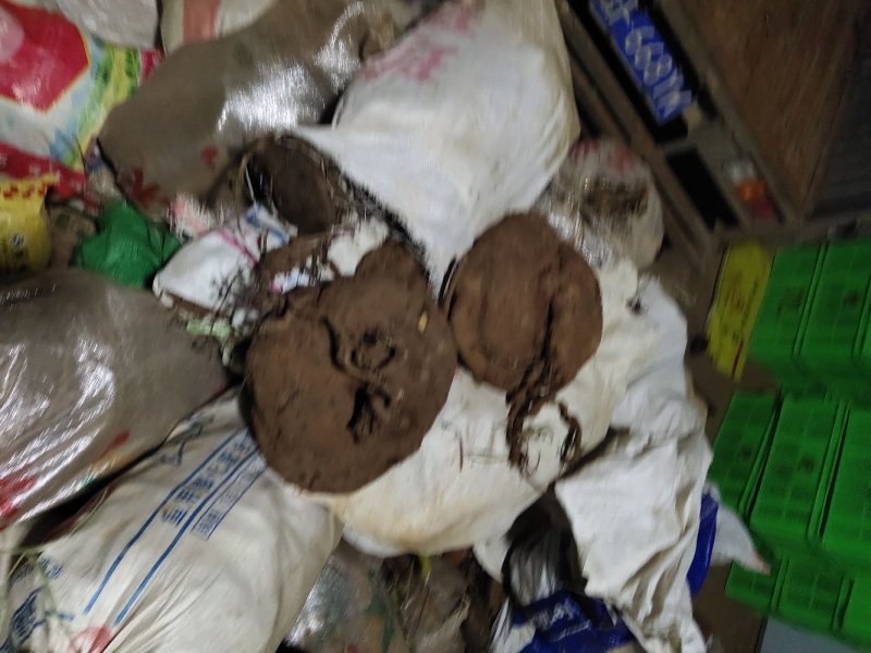 红藤山乌龟全部是野生全的，绿腾，血腾，有需要的赶快了，