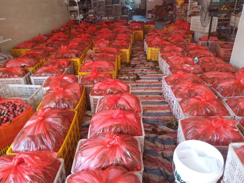 六月红荔枝禾荔鸡嘴桂味大量上市专业代办一件代发货