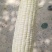 【精品】甜玉米鲜香口感清甜产地直发欢迎选购