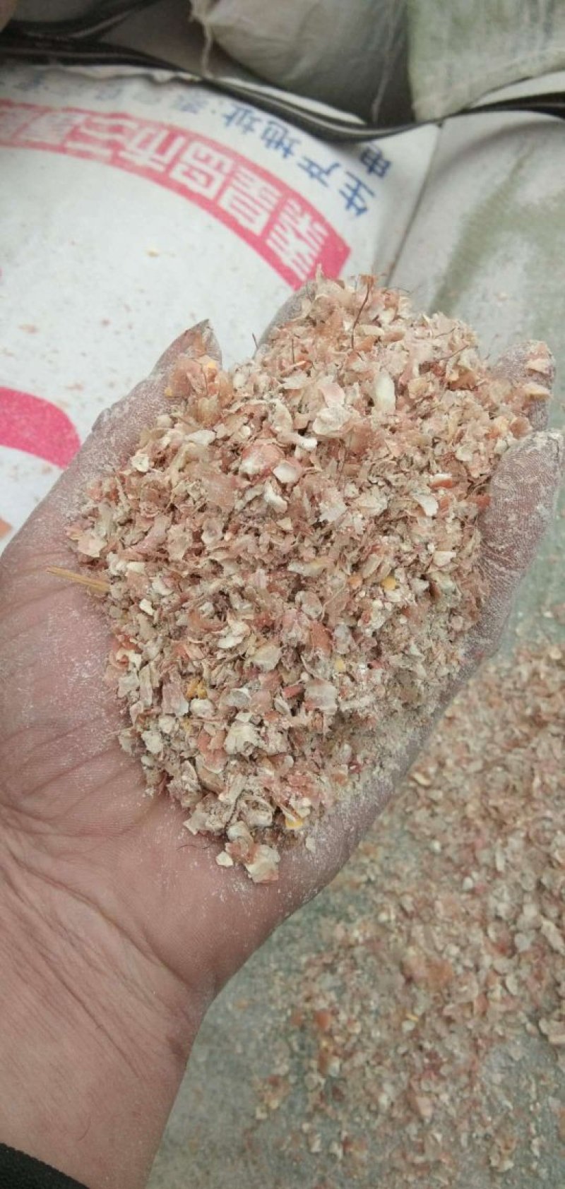 厂家直销东北烘干玉米皮大片玉米皮适合牛羊驴用