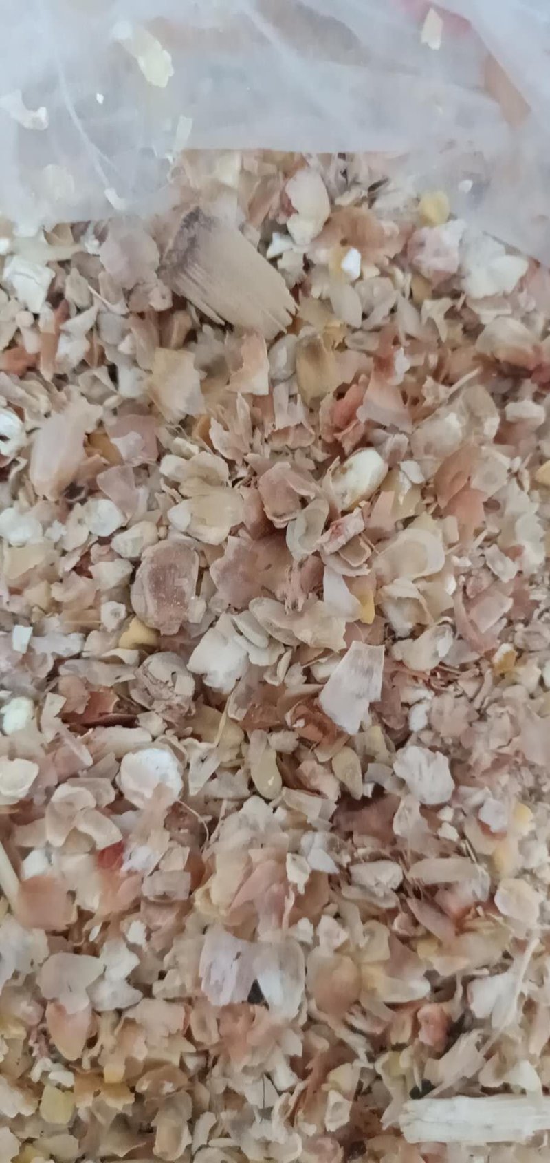 厂家直销东北烘干玉米皮大片玉米皮适合牛羊驴用