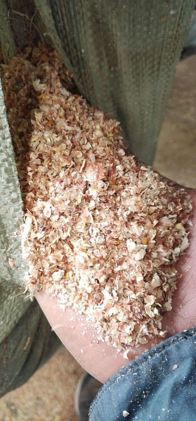 厂家直销东北烘干玉米皮大片玉米皮适合牛羊驴用