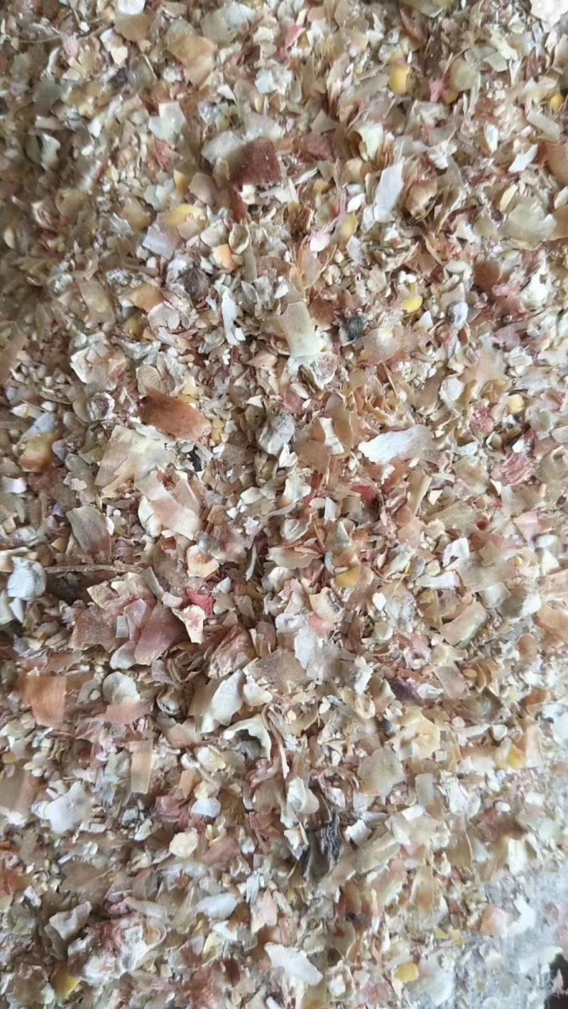 厂家直销东北烘干玉米皮大片玉米皮适合牛羊驴用