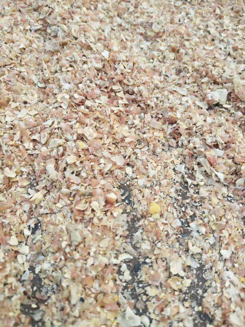 厂家直销东北烘干玉米皮大片玉米皮适合牛羊驴用