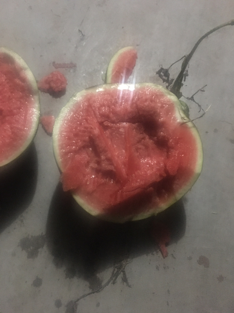 黑无籽