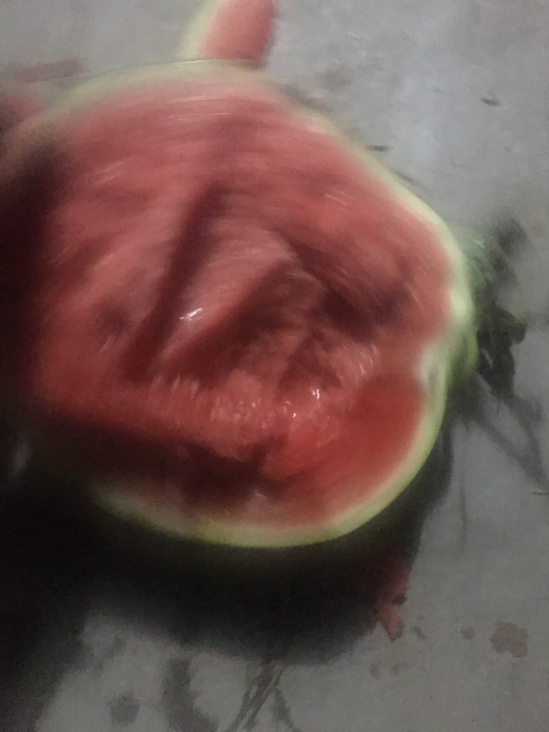 黑无籽