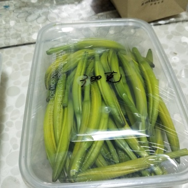 鲜黄花菜
