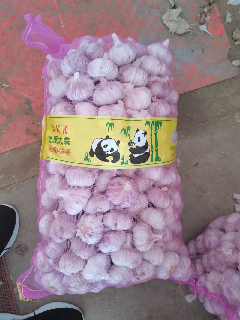金乡大蒜上新品，天天有货支持线上交易，量大从优，代发