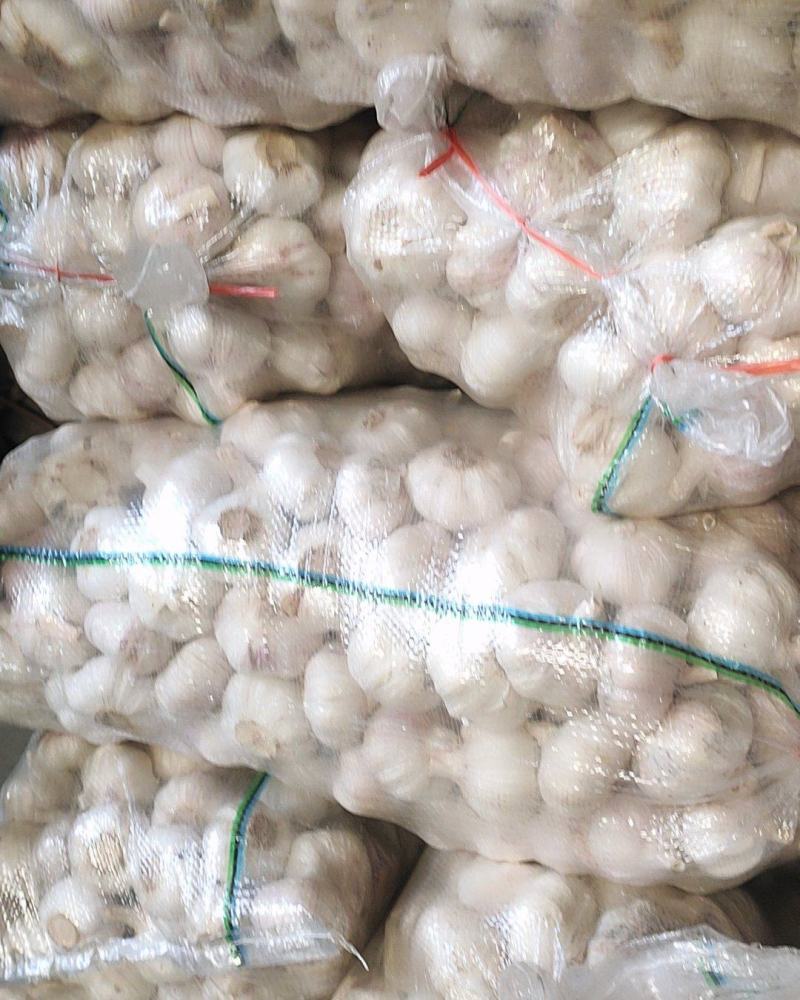 优质金乡杂交保鲜精品干大蒜，产地直供没有中间商