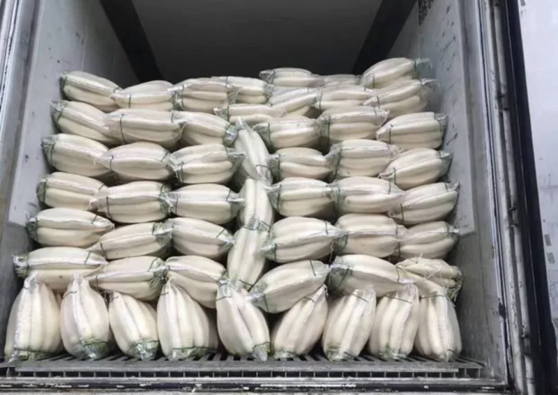 （精品）白萝卜，大量走车，专业合作社，清洗，发冷，发货