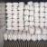 (精品)白萝卜,大量走车,专业合作社,清洗,发冷,发货