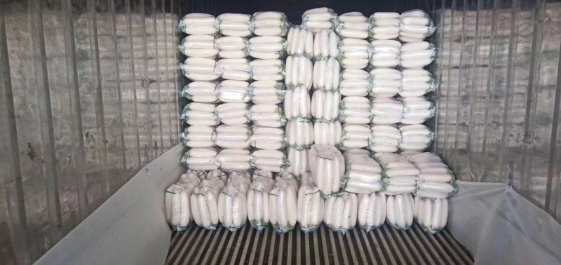 （精品）白萝卜，大量走车，专业合作社，清洗，发冷，发货