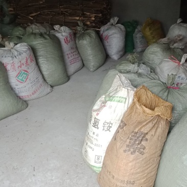 南五味子鲜货10吨后期货大量供应。