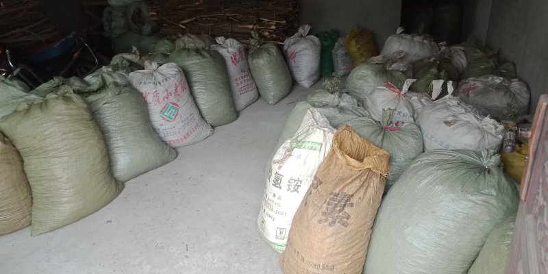 南五味子鲜货10吨后期货大量供应。