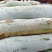白皮冬瓜大量有货光滑无坑价格优惠