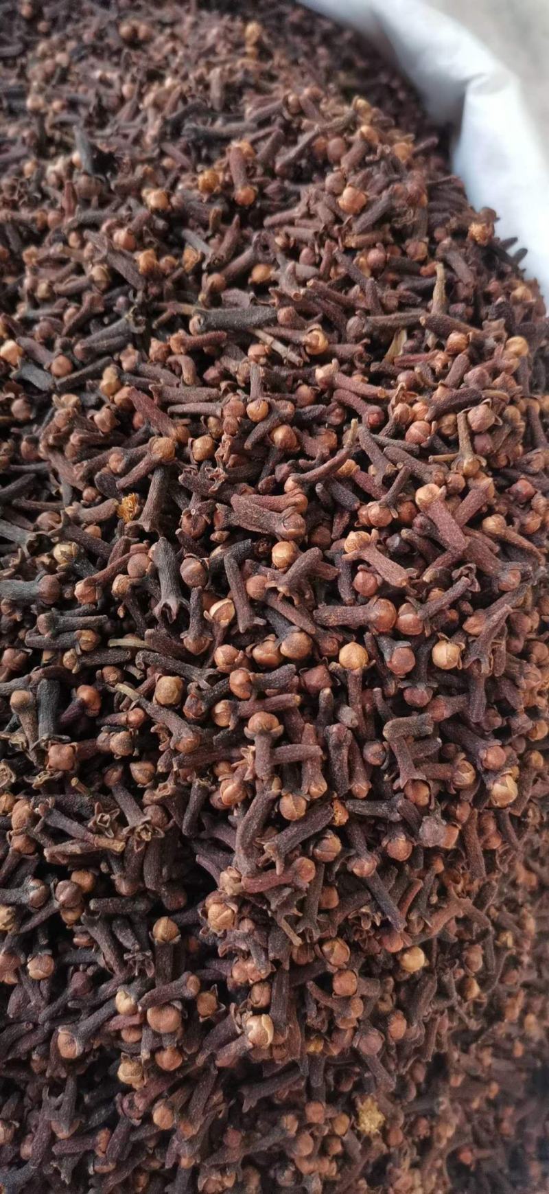 优质大红公丁香香料调料炒菜卤料火锅底料可打粉可钓鱼足干无