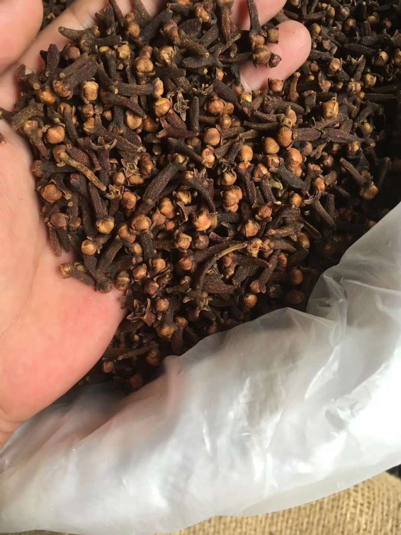 优质大红公丁香香料调料炒菜卤料火锅底料可打粉可钓鱼足干无