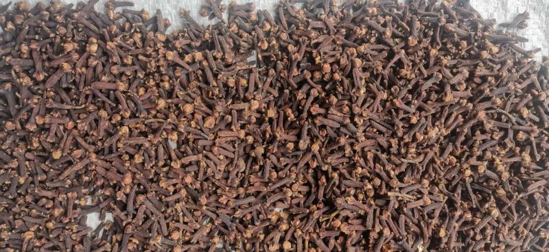 优质大红公丁香香料调料炒菜卤料火锅底料可打粉可钓鱼足干无