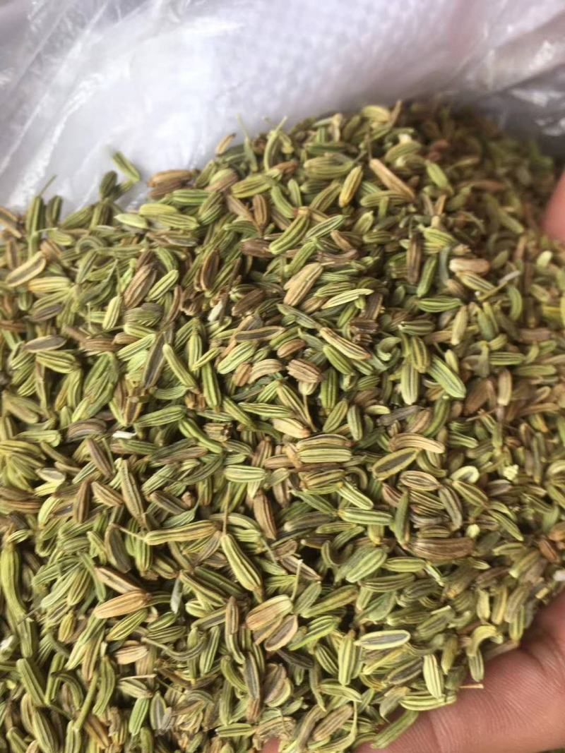 【特级】小茴香特绿粒调料小回香籽足干无硫可打粉炖肉卤料调