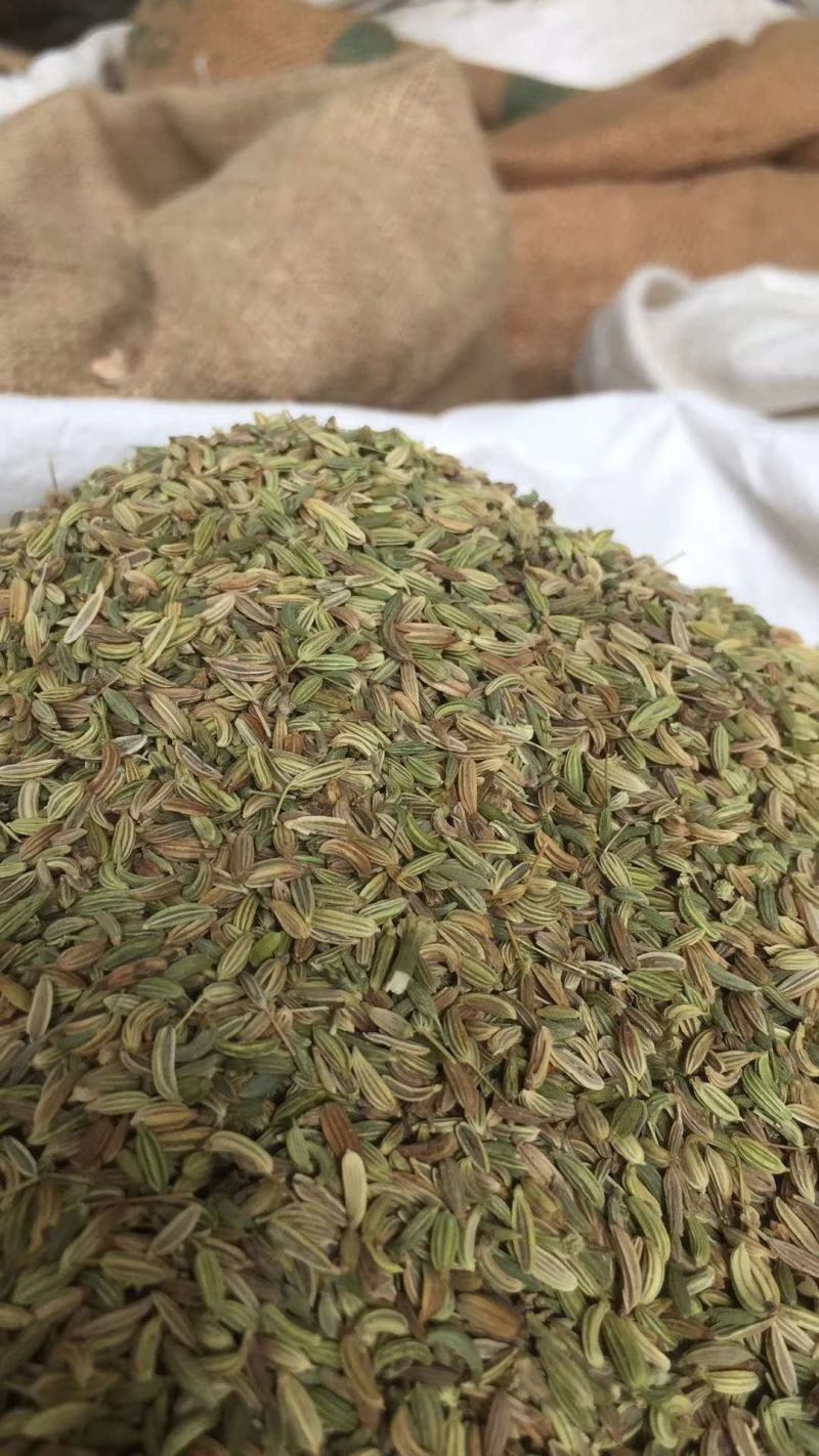 【特级】小茴香特绿粒调料小回香籽足干无硫可打粉炖肉卤料调