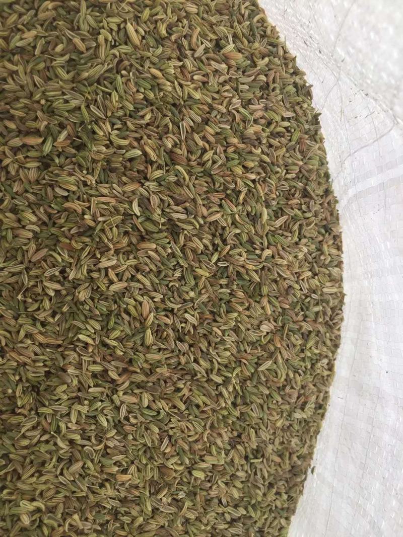 【特级】小茴香特绿粒调料小回香籽足干无硫可打粉炖肉卤料调
