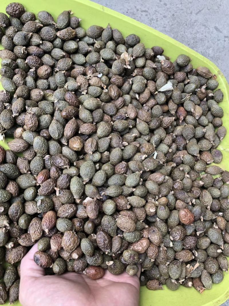 【店铺热销】胖大海子润喉个大饱满粒粒泡开吸烟者清嗓无硫绿