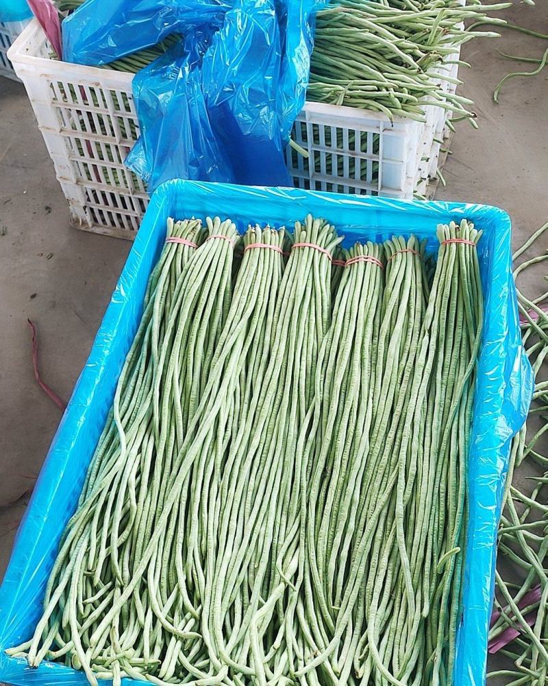 优质长豆角60厘米以上产地直销，保质保量