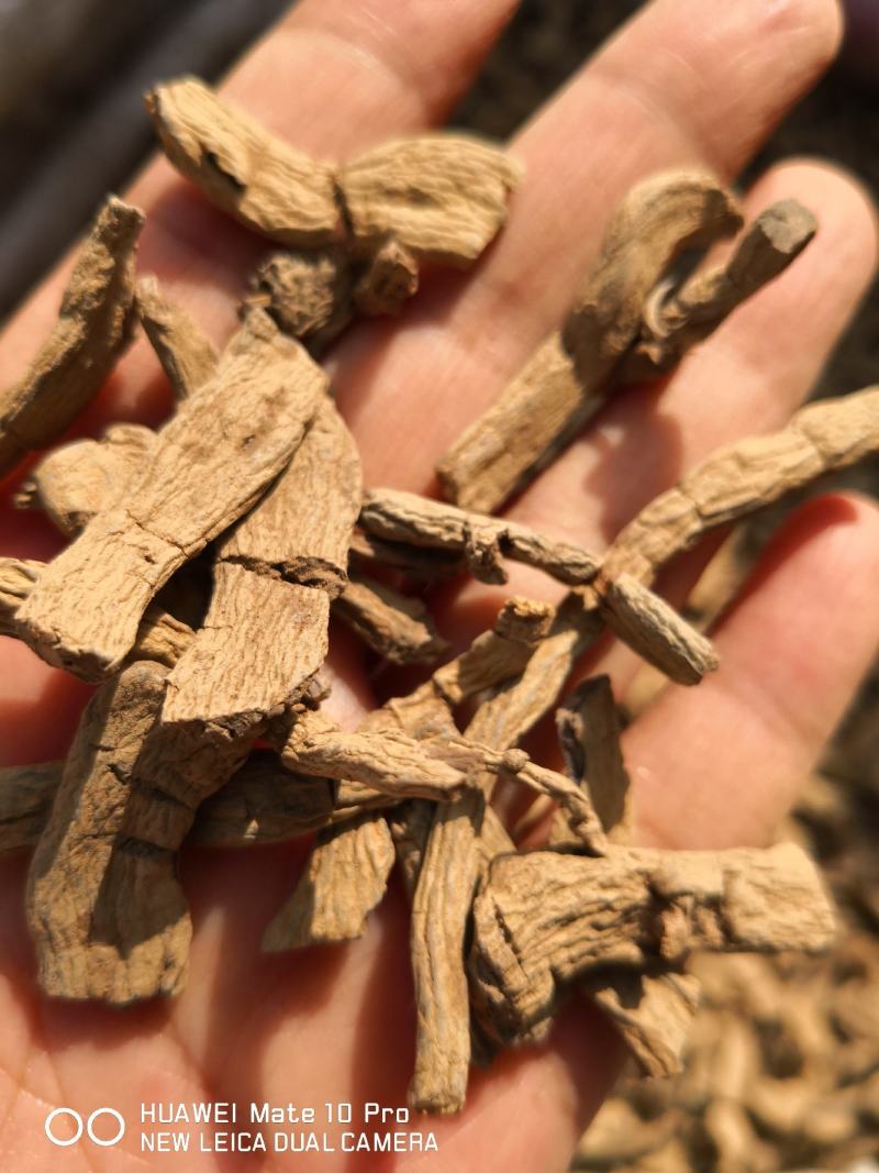 巴戟天不抽芯选货2斤包邮量大从优欢迎选购