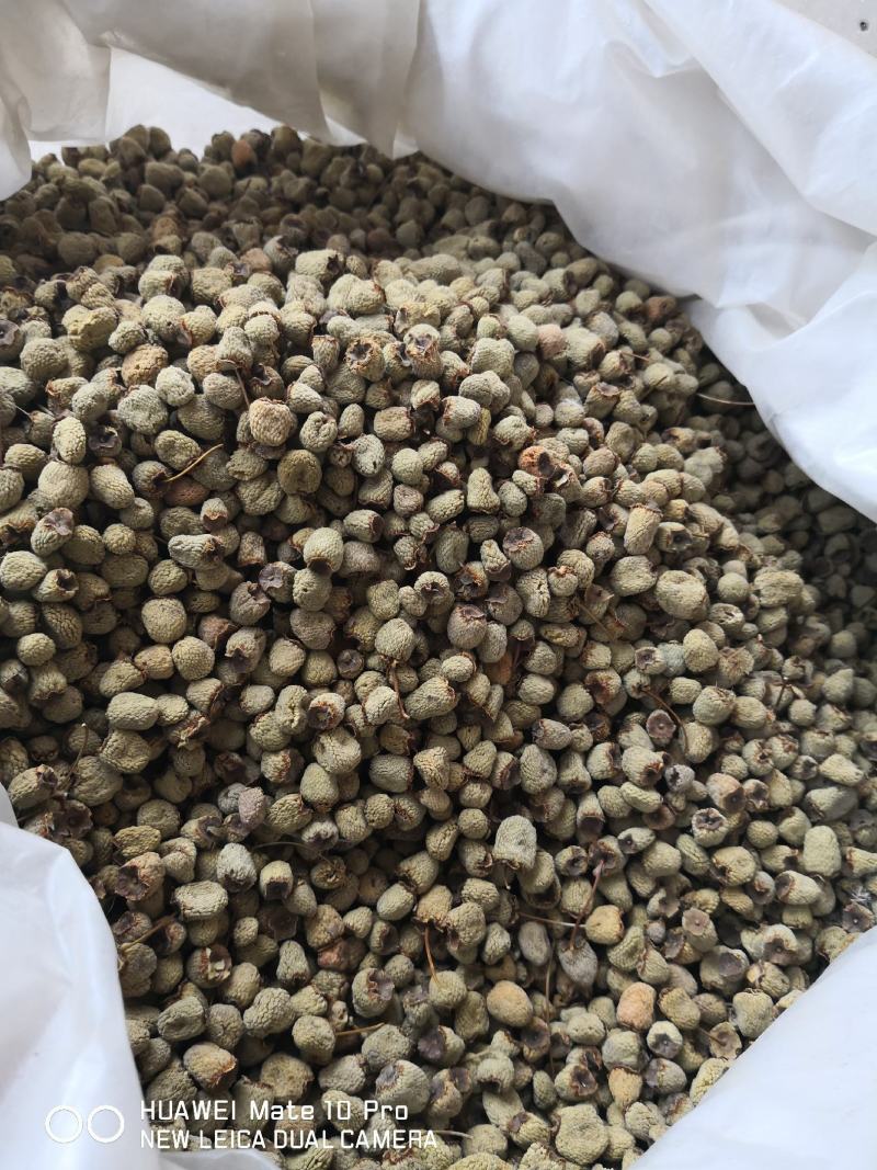 覆盆子选货大粒浙江干货2斤起包邮
