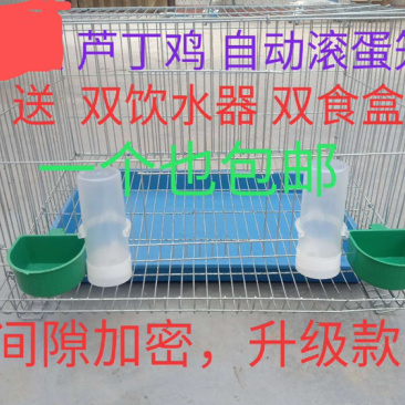 芦丁鸡自动滚蛋笼间隙加密升级款送双饮水器双食盒包邮