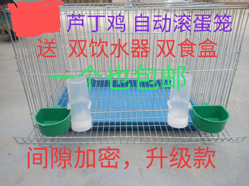 芦丁鸡自动滚蛋笼间隙加密升级款送双饮水器双食盒包邮