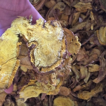 黄藤根产地一手货源质量保证