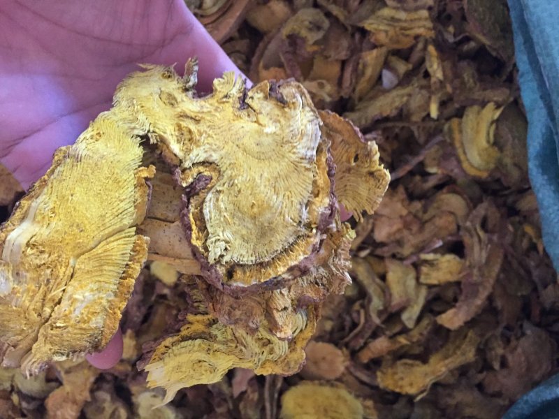 黄藤根产地一手货源质量保证