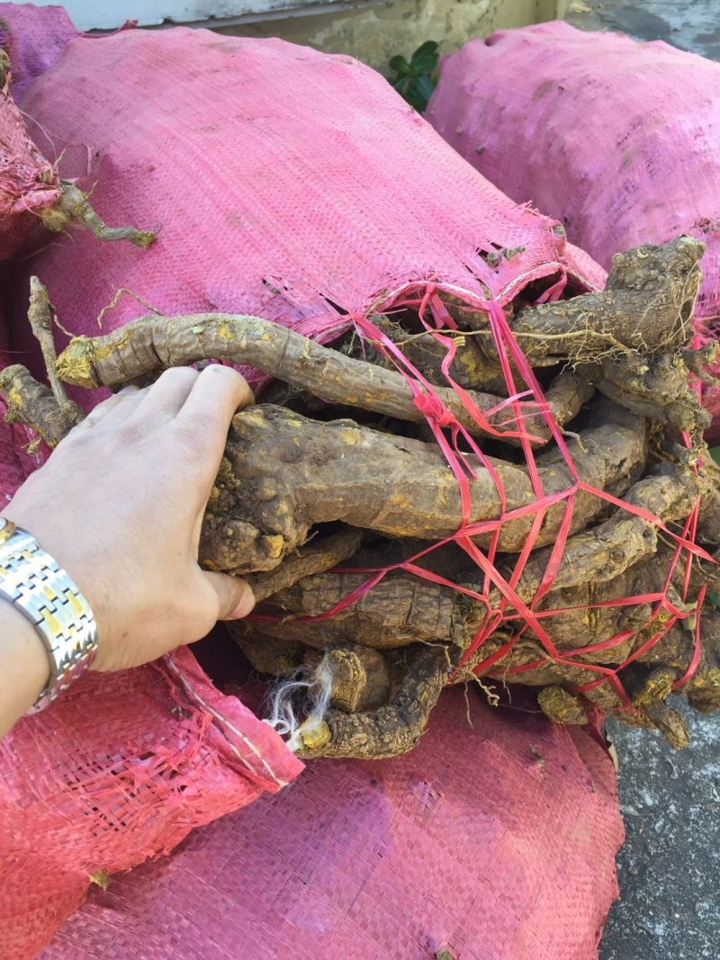黄藤根产地一手货源质量保证