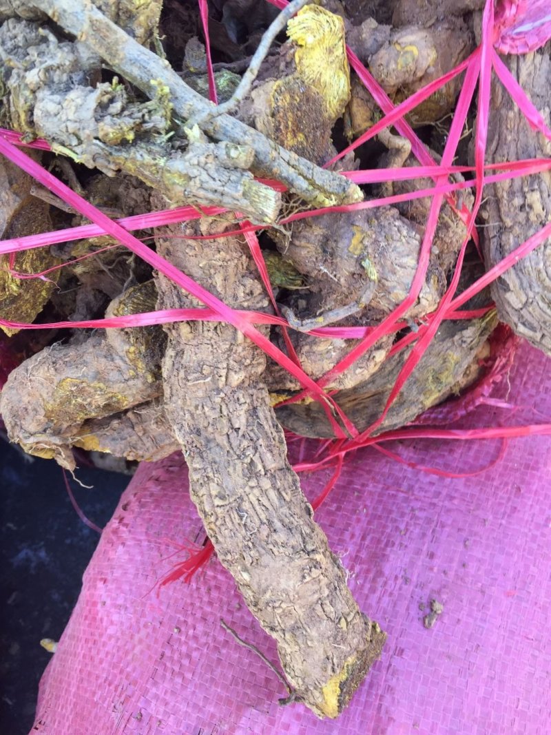 黄藤根产地一手货源质量保证