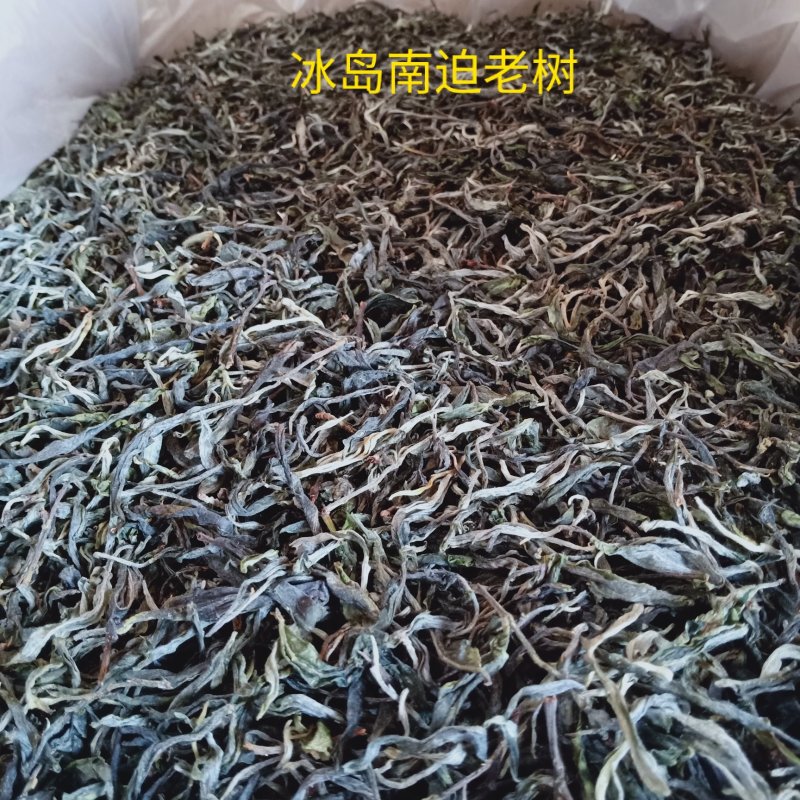 冰岛南迫老树普洱生茶，250克/饼，2020头春