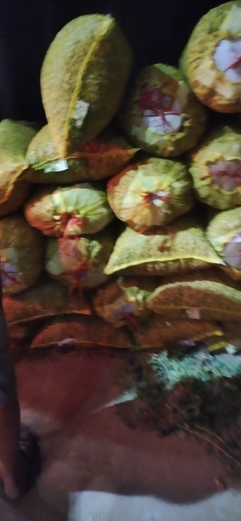 河南沙地鲜花生，大吨位供应，货源充足，量大从优
