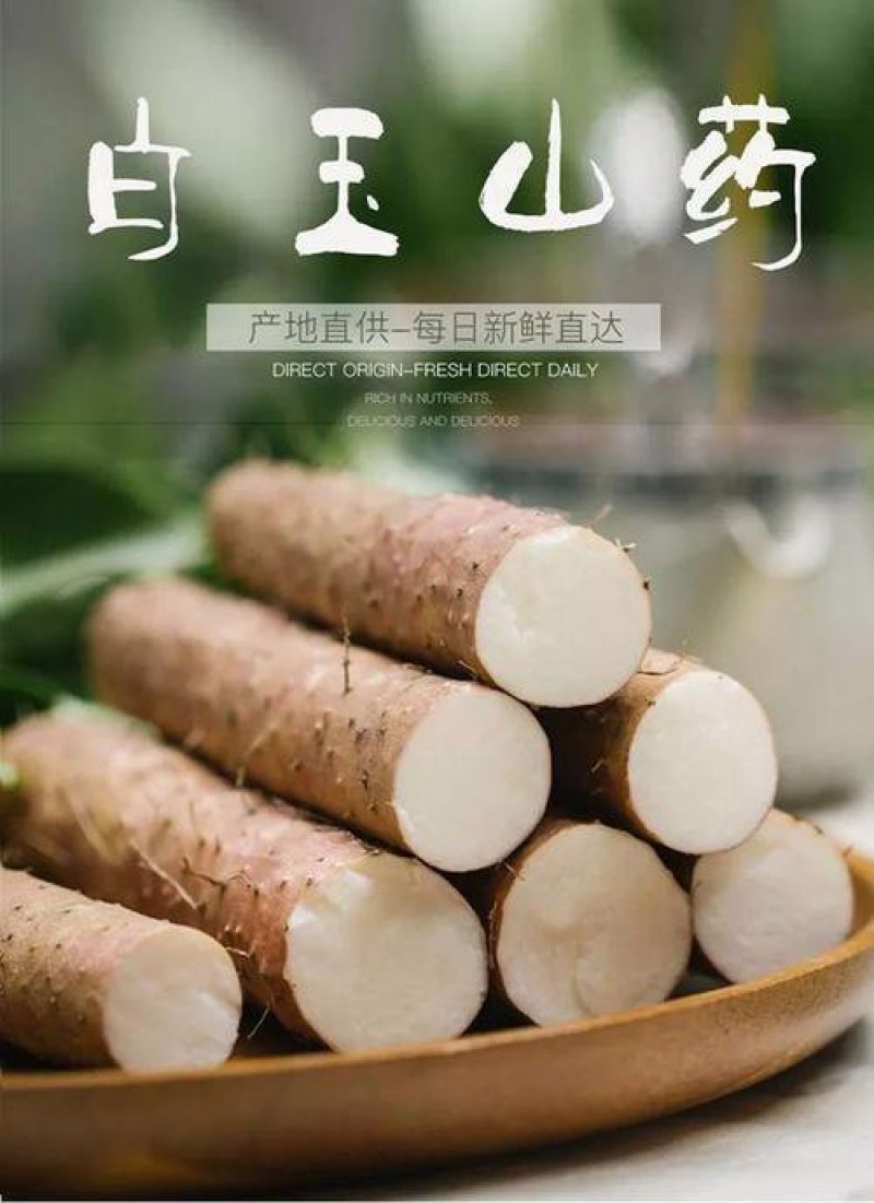 白玉山药，日供货量达到5-10万斤，价格优惠，欢迎选购