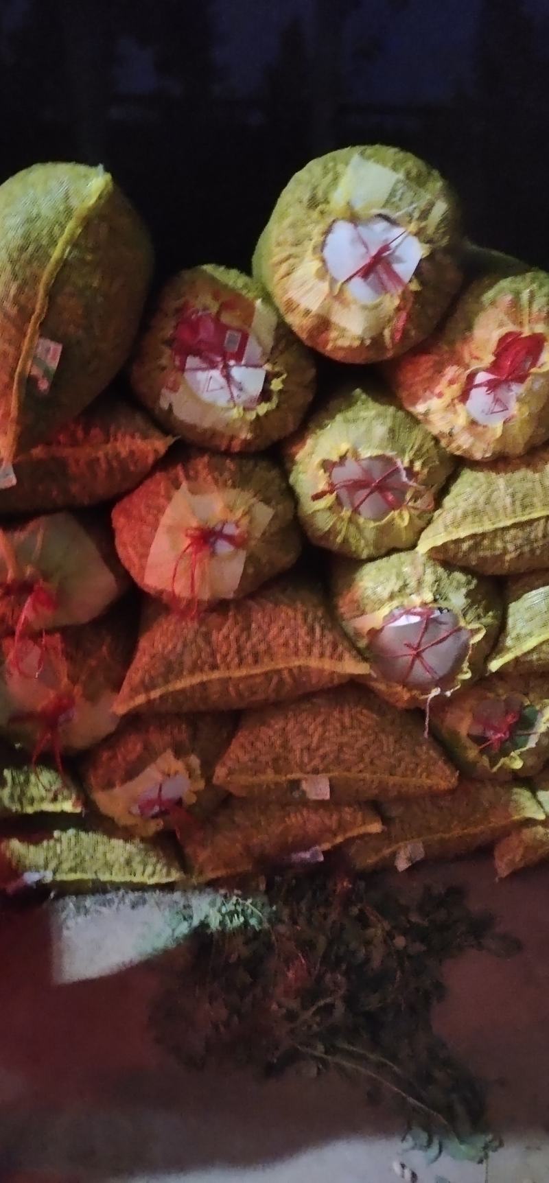 精选四粒红鲜花生，老度够，过筛子，手选果，量大从优