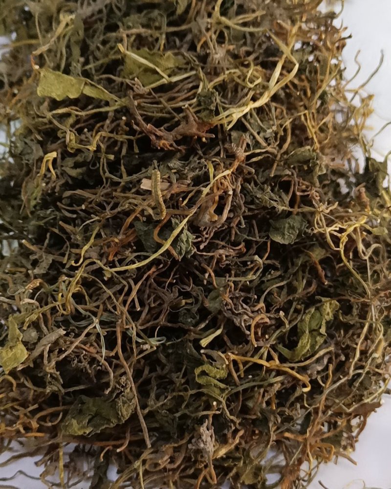 野生中药材带根一支箭500克包邮蛇须草蛇咬子
