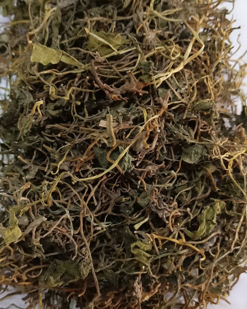 野生中药材带根一支箭500克包邮蛇须草蛇咬子