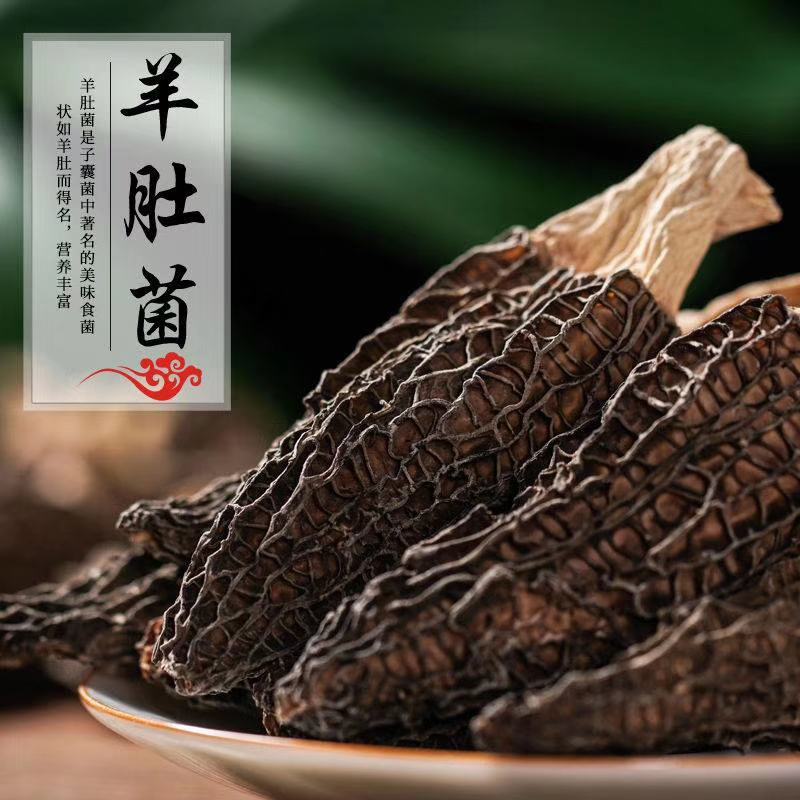 特级羊肚菌，剪脚羊肚菌