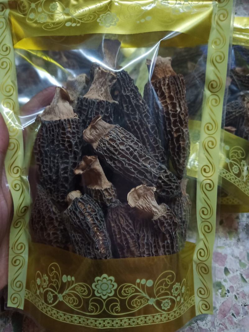特级羊肚菌，剪脚羊肚菌