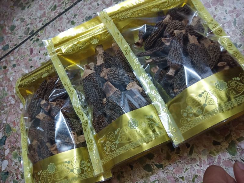 特级羊肚菌，剪脚羊肚菌