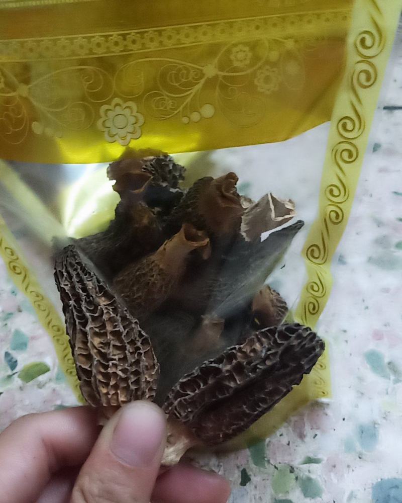特级羊肚菌，剪脚羊肚菌
